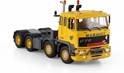 WSI Models Mammoet Global Support