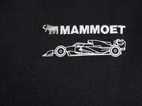 Mammoet Formula 1 sweater kids 3