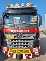 Mammoet pillow set 1