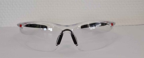 Mammoet Schutzbrille klar-2