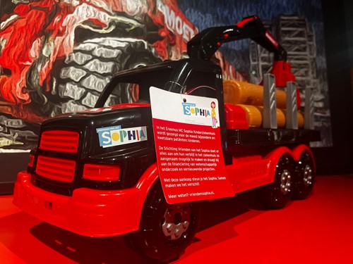 Sophia Kinderziekenhuis USA Wood truck